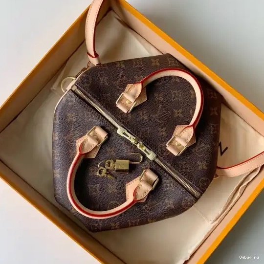 Vuitton SPEEDY BANDOULIERE 25 Louis 0509